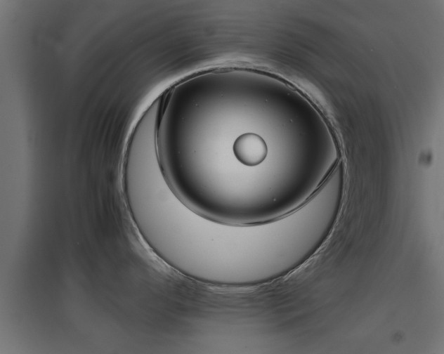 X0000094971296200712061419