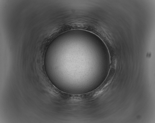 X0000094971297200712061418