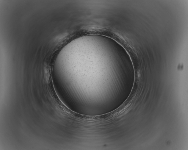 X0000094971300200712061418