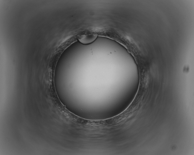 X0000094971301200712061418