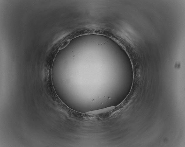 X0000094971302200712061418