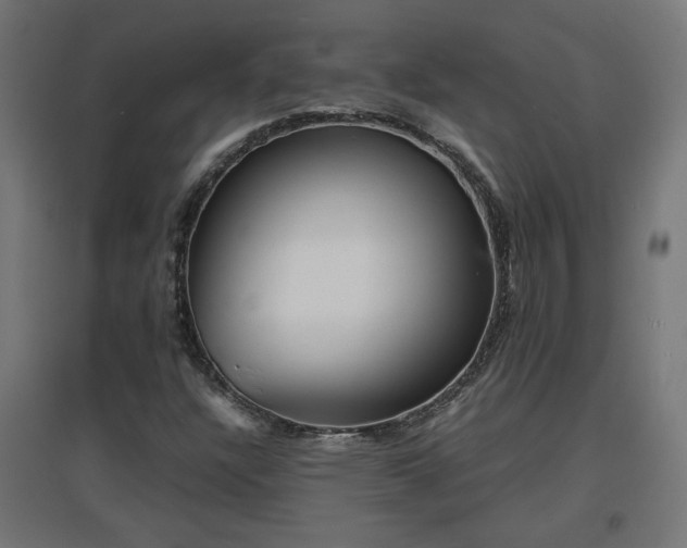 X0000094971304200712061418