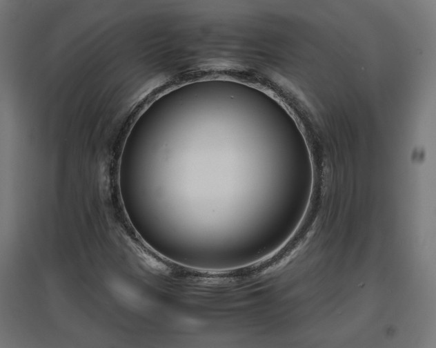 X0000094971305200712061418