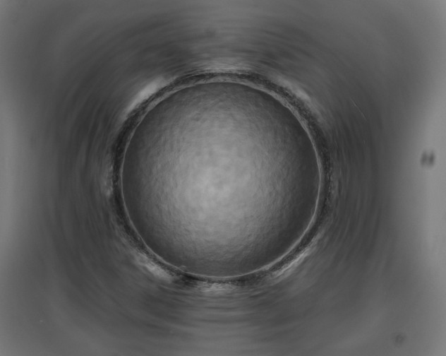 X0000094971306200712061418