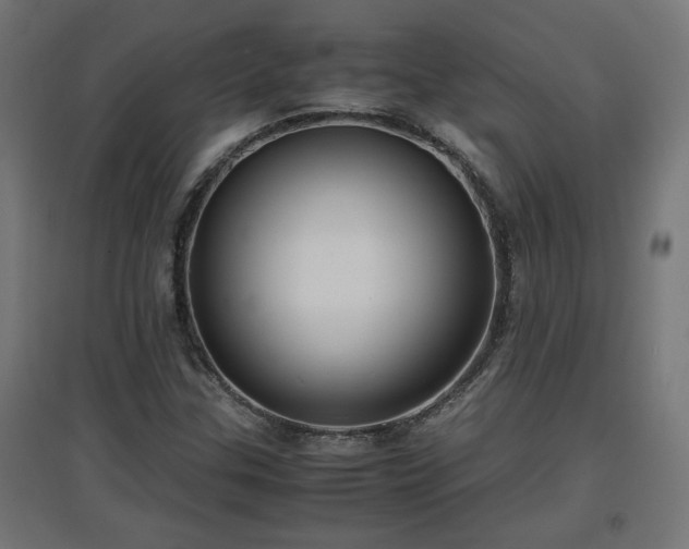 X0000094971307200712061418