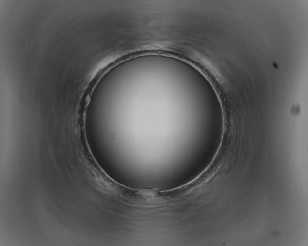 X0000094971308200712061418