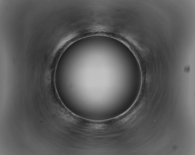 X0000094971309200712061418