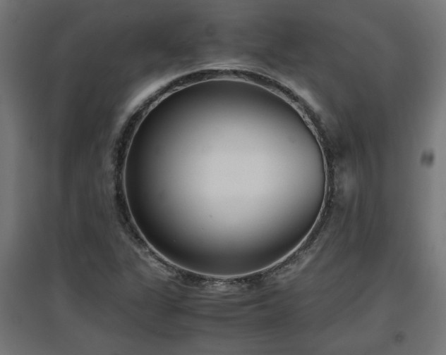 X0000094971311200712061418