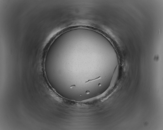 X0000094971312200712061418