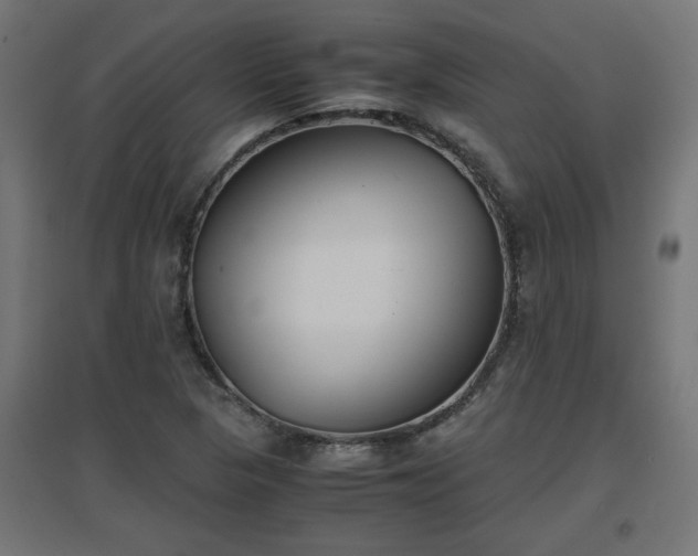 X0000094971313200712061418