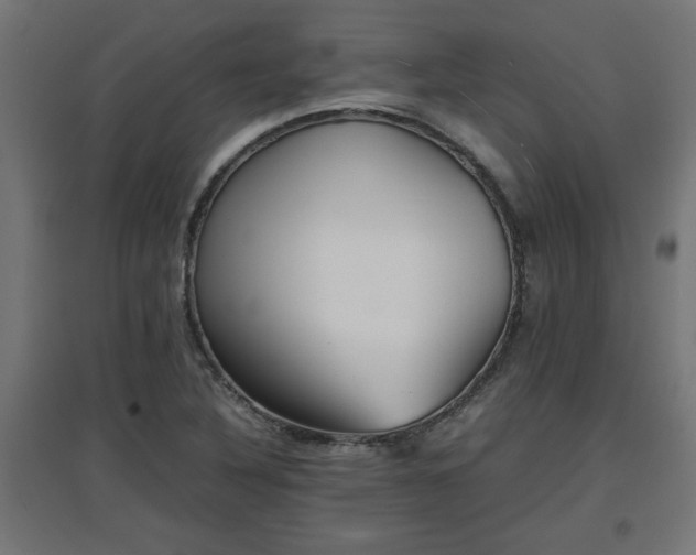 X0000094971316200712061418