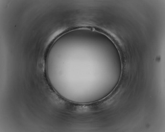 X0000094971317200712061418