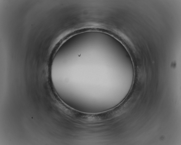 X0000094971318200712061418