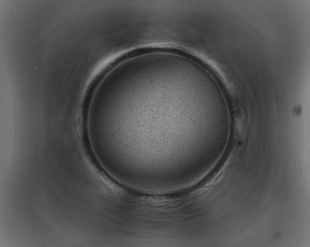 X0000094971319200712061418