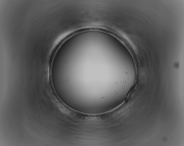 X0000094971320200712061418