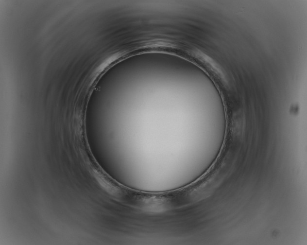 X0000094971321200712061418