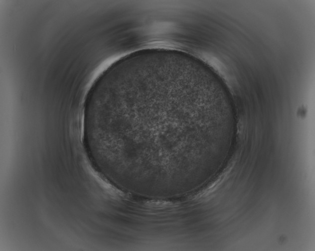 X0000094971323200712061418