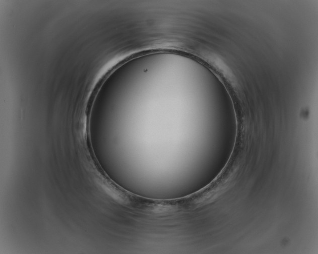 X0000094971324200712061418