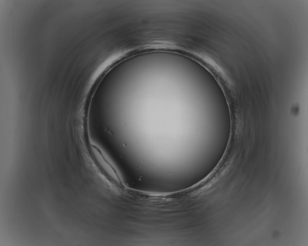 X0000094971325200712061418