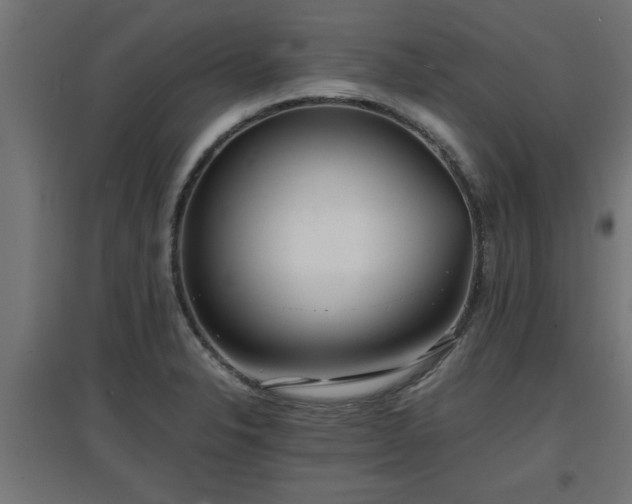 X0000094971326200712061418