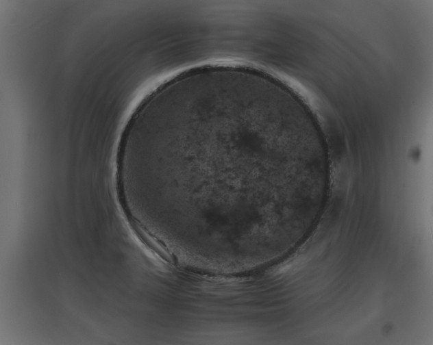 X0000094971327200712061418