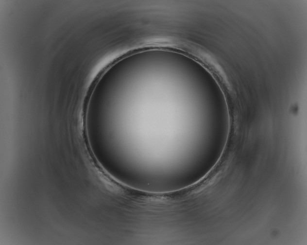 X0000094971328200712061418