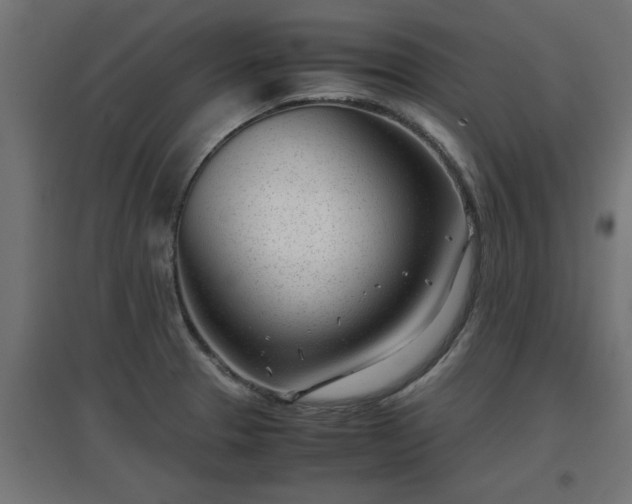 X0000094971329200712061418