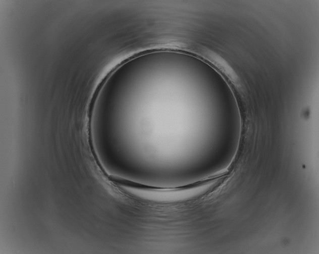 X0000094971332200712061418