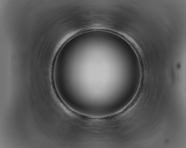 X0000094971333200712061418