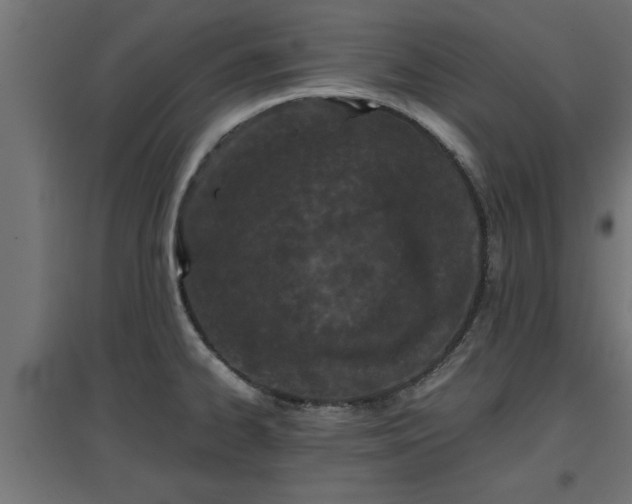 X0000094971334200712061418