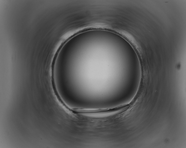 X0000094971335200712061418