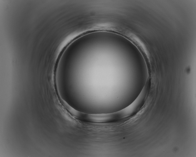 X0000094971336200712061418