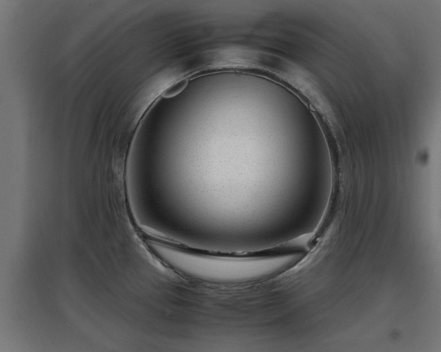 X0000094971337200712061418