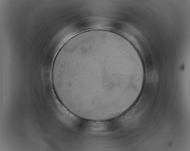 X0000094971338200712061418