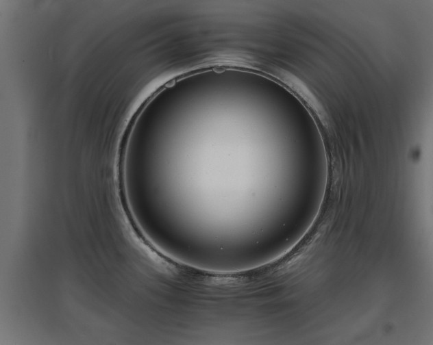 X0000094971339200712061418