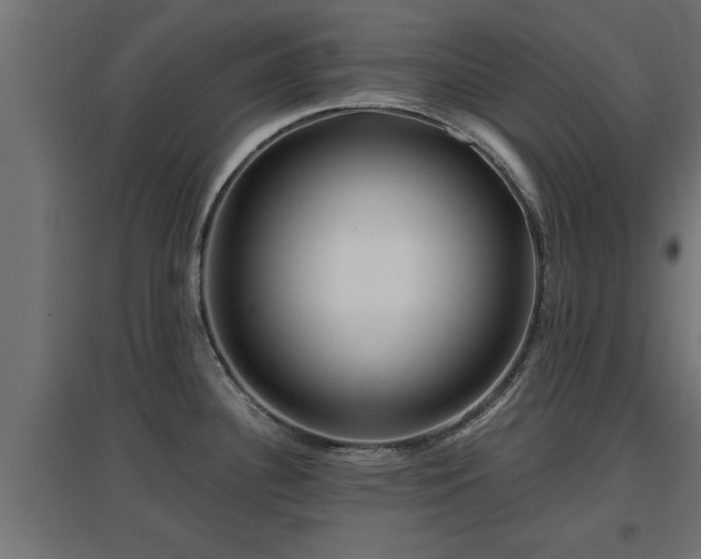 X0000094971340200712061419