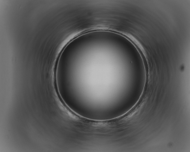 X0000094971341200712061419