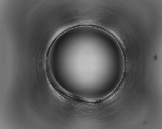 X0000094971342200712061419