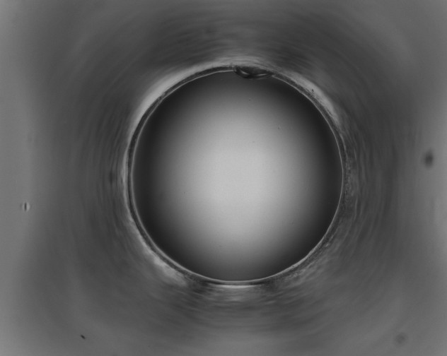 X0000094971343200712061419