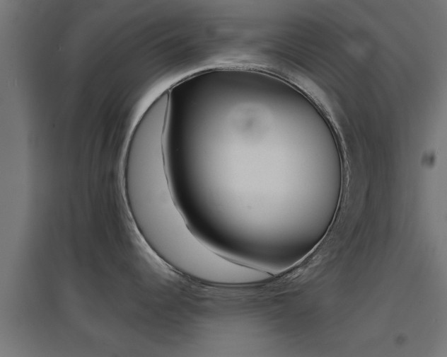 X0000094971344200712061419