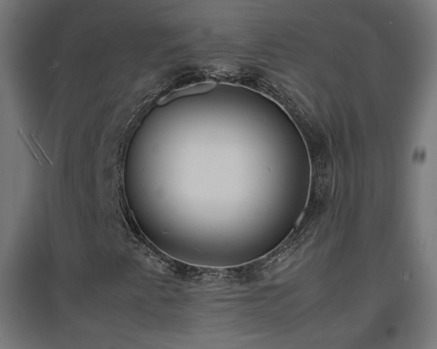 X0000094971345200712061418