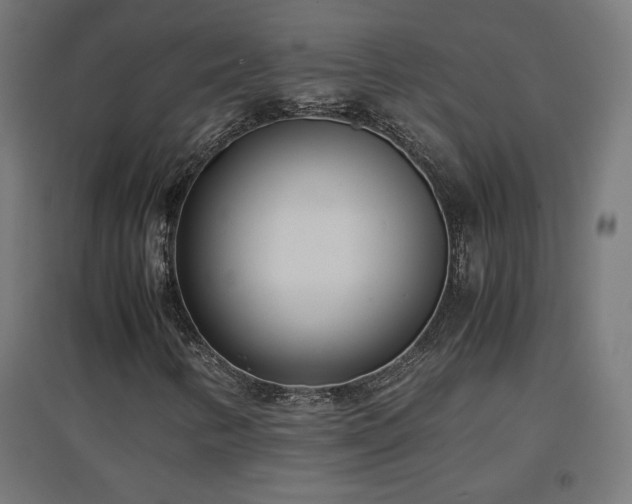 X0000094971346200712061418