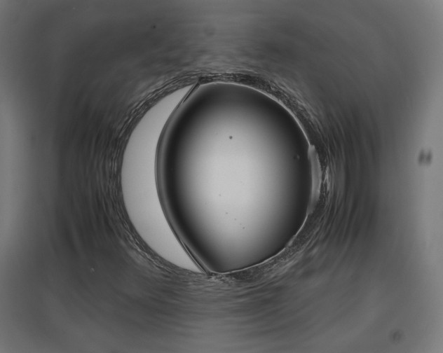 X0000094971348200712061418