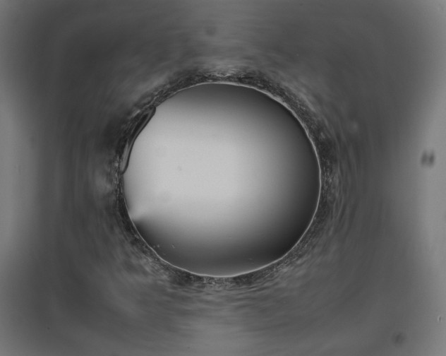 X0000094971349200712061418