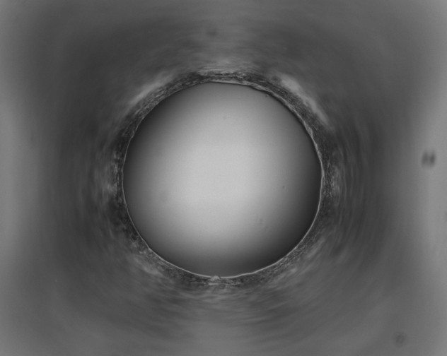 X0000094971350200712061418