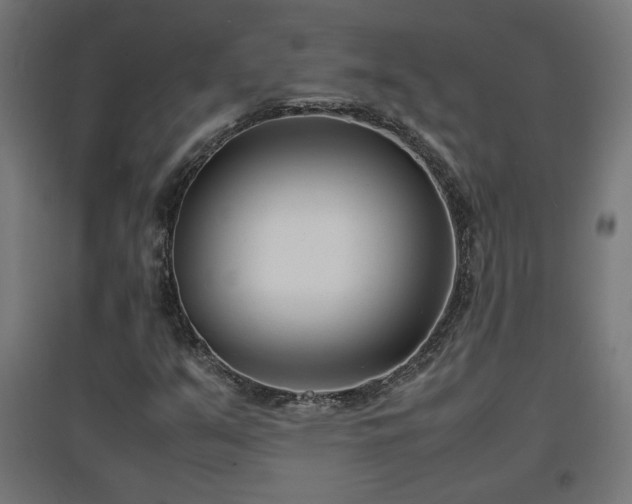 X0000094971351200712061418