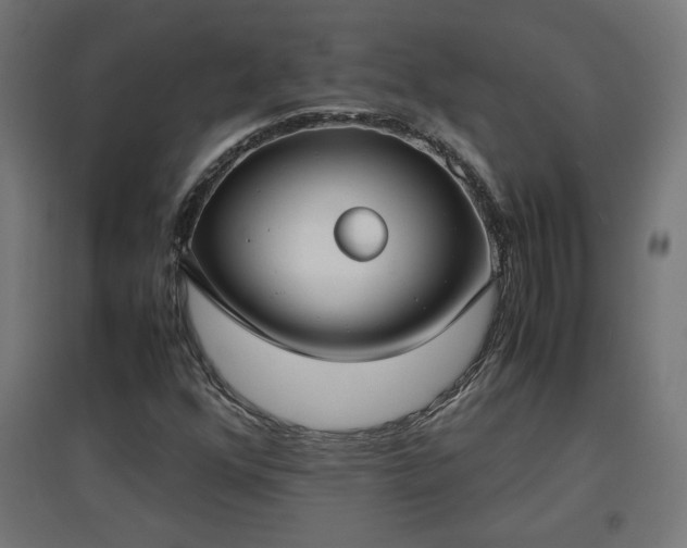 X0000094971352200712061418