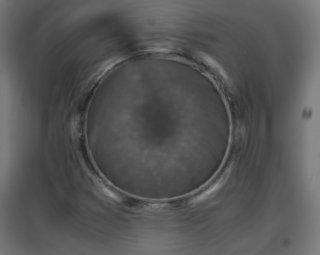 X0000094971353200712061418