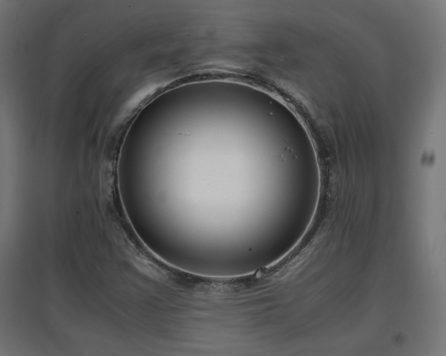 X0000094971355200712061417