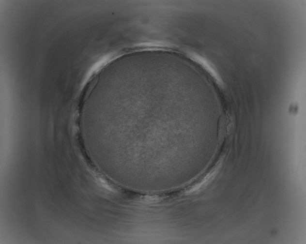 X0000094971357200712061417